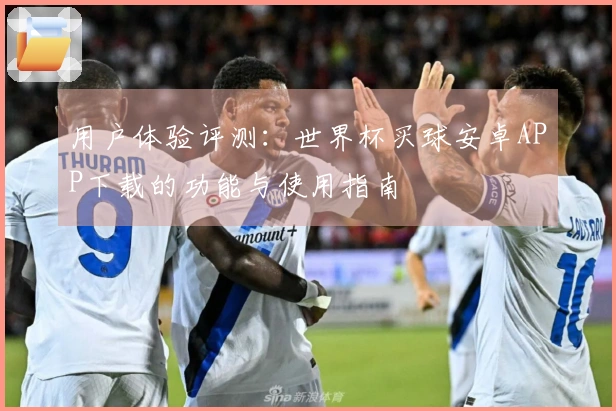 用户体验评测：世界杯买球安卓APP下载的功能与使用指南