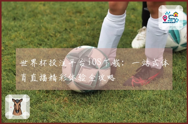 世界杯投注平台iOS下载：一站式体育直播精彩体验全攻略