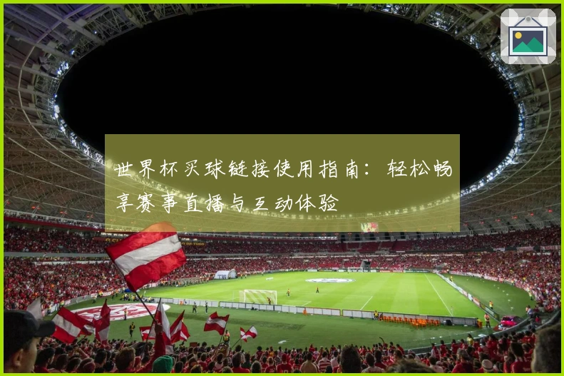 世界杯买球链接使用指南：轻松畅享赛事直播与互动体验