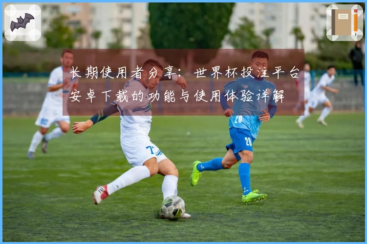 长期使用者分享：世界杯投注平台安卓下载的功能与使用体验详解