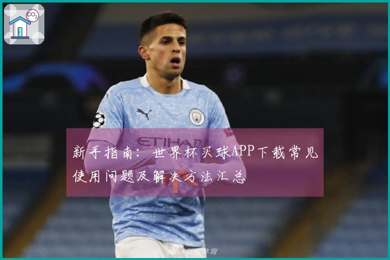 新手指南：世界杯买球APP下载常见使用问题及解决方法汇总