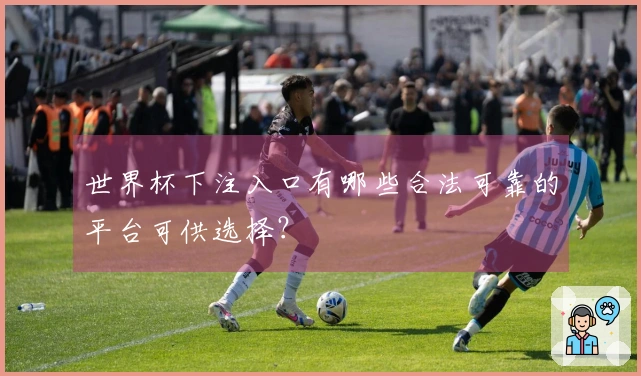 世界杯下注入口有哪些合法可靠的平台可供选择?
