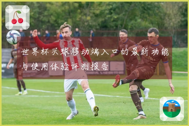 世界杯买球移动端入口的最新功能与使用体验评测报告