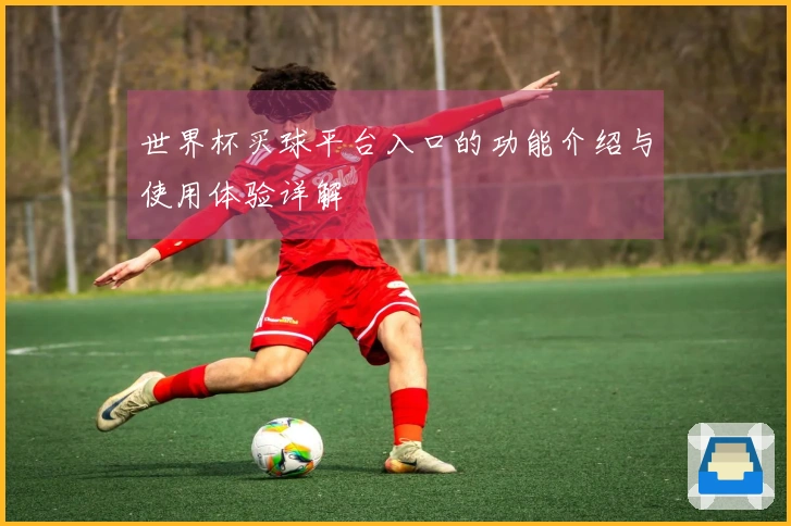 世界杯买球平台入口的功能介绍与使用体验详解