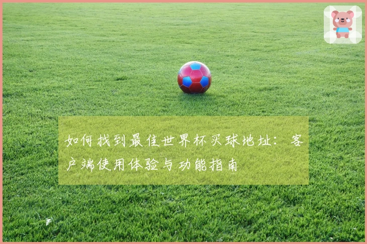 如何找到最佳世界杯买球地址：客户端使用体验与功能指南
