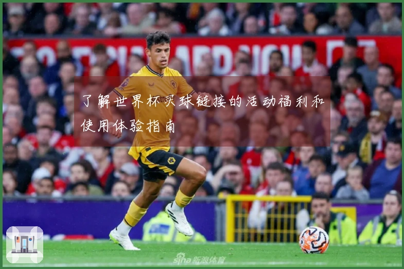了解世界杯买球链接的活动福利和使用体验指南
