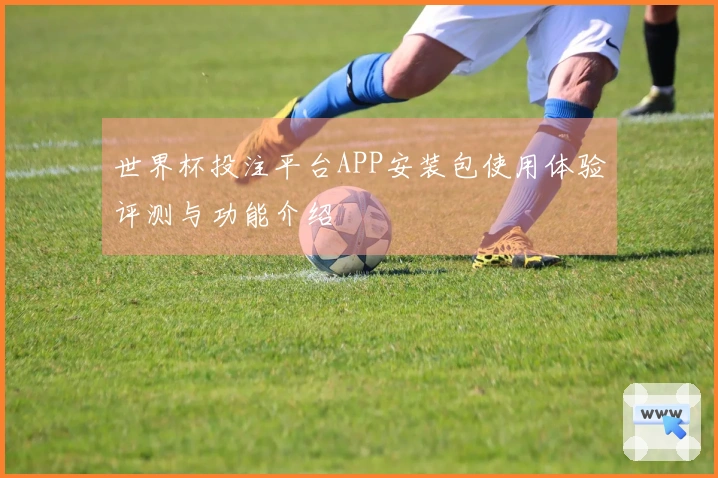 世界杯投注平台APP安装包使用体验评测与功能介绍
