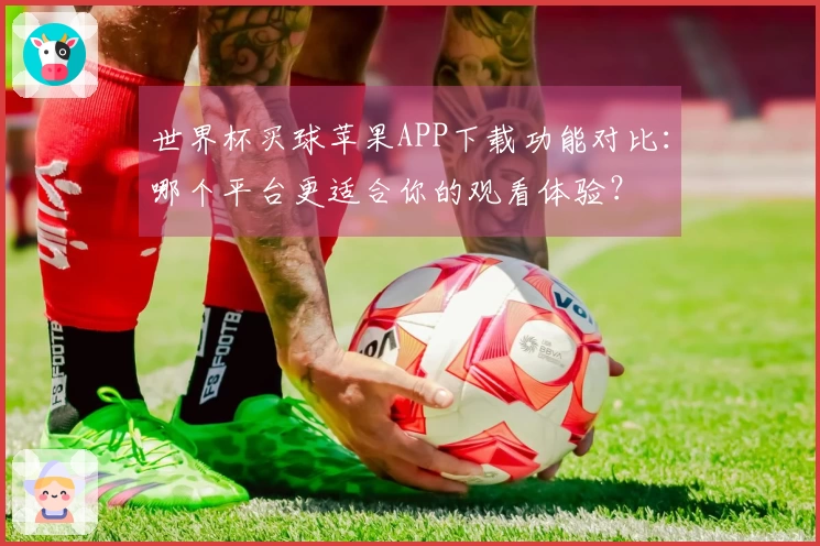 世界杯买球苹果APP下载功能对比：哪个平台更适合你的观看体验？