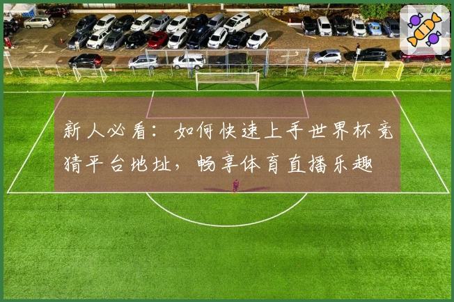 新人必看：如何快速上手世界杯竞猜平台地址，畅享体育直播乐趣