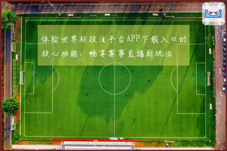 体验世界杯投注平台APP下载入口的核心功能，畅享赛事直播新玩法