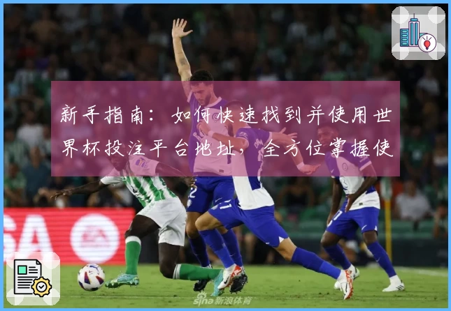 新手指南：如何快速找到并使用世界杯投注平台地址，全方位掌握使用技巧