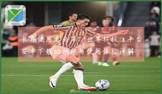 长期使用者分享：世界杯投注平台安卓下载的功能与使用体验详解