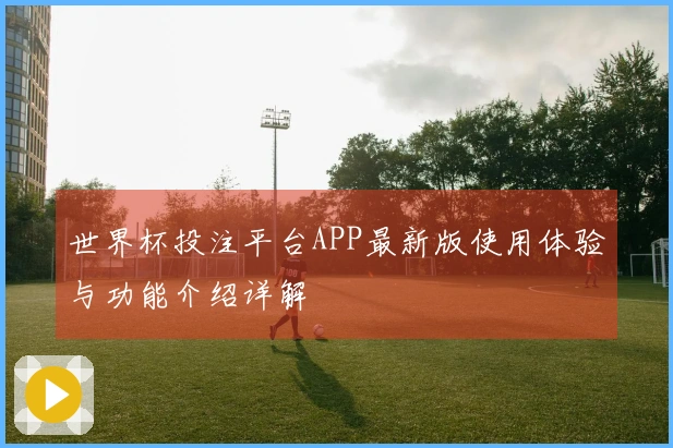 世界杯投注平台APP最新版使用体验与功能介绍详解