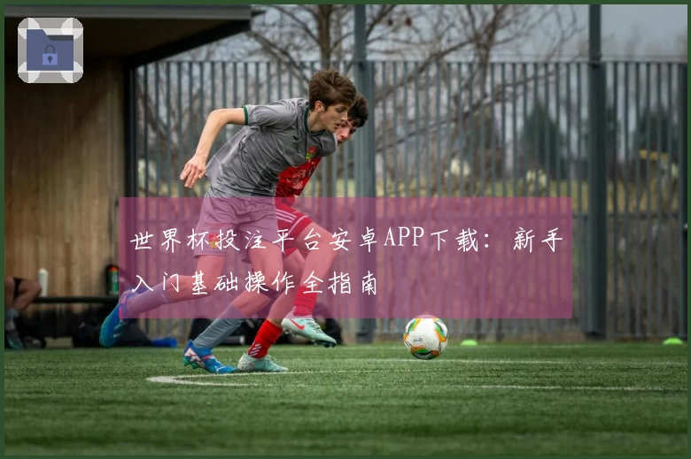 世界杯投注平台安卓APP下载：新手入门基础操作全指南