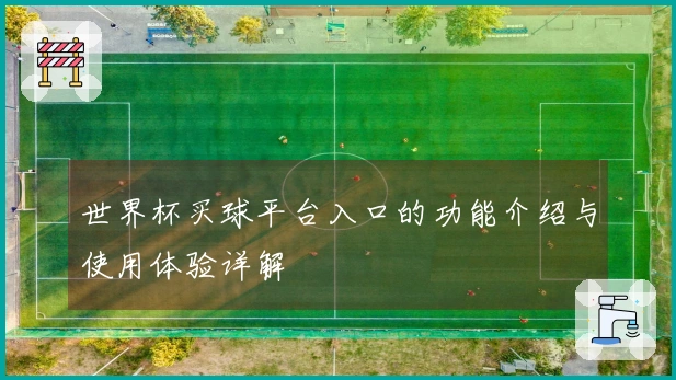 世界杯买球平台入口的功能介绍与使用体验详解