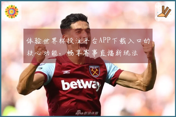 体验世界杯投注平台APP下载入口的核心功能，畅享赛事直播新玩法
