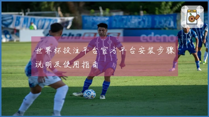 世界杯投注平台官方平台安装步骤说明及使用指南